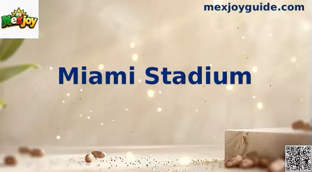 Miami Stadium vista general