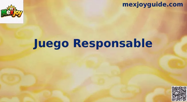 Juego Responsable México