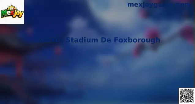 Gillette Stadium De Foxborough
